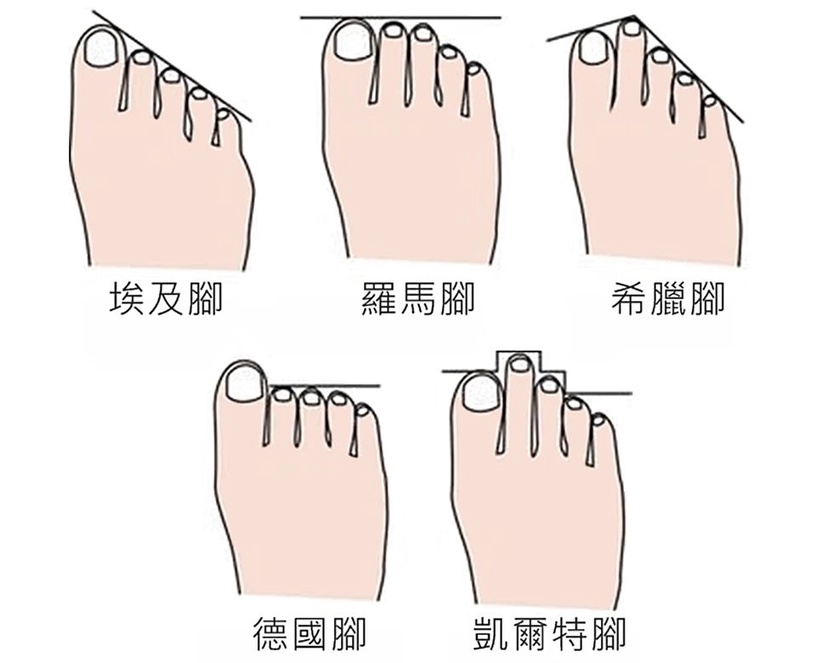 >>高跟鞋看脚型选择:分为埃及脚,罗马脚,希腊脚,德国脚,凯尔特脚.