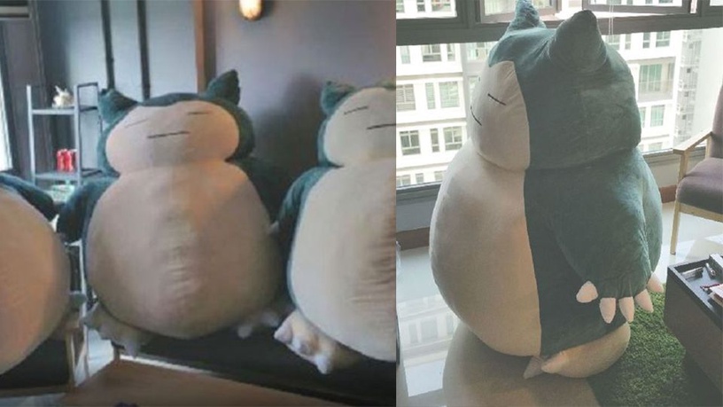 推特热议「巨型卡比兽玩偶」!