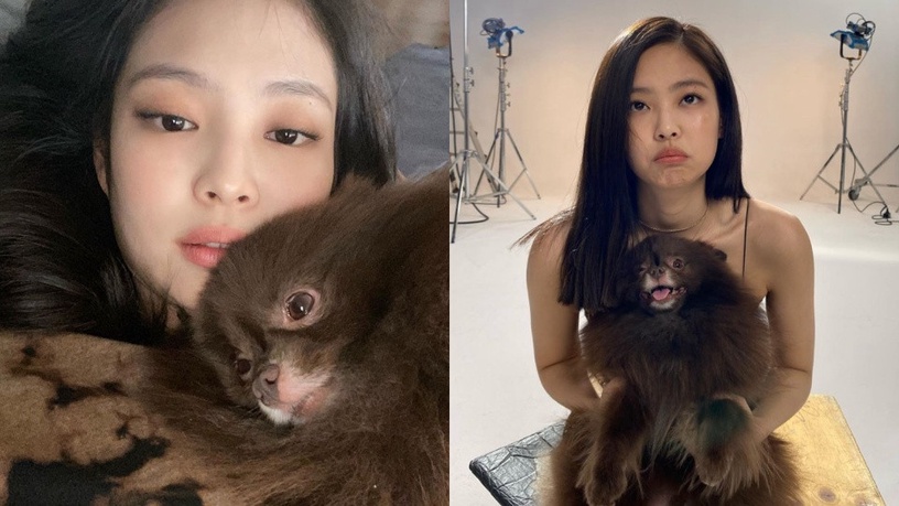 blackpink jennie/ kuma,kai