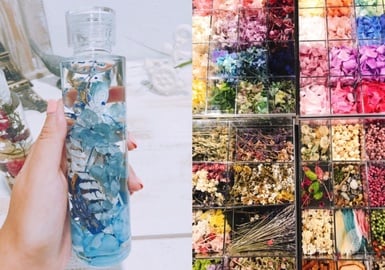 |Aileen 瑩瑩專欄|自己做-水中不凋花