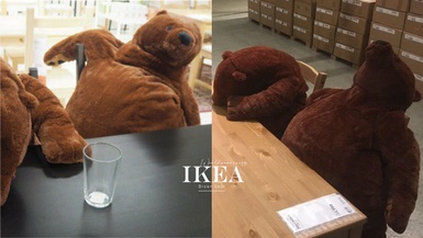 IKEA又一玩偶爆紅！「厭世棕熊」癱軟耍廢模樣引發搶購，日網友：根本下班後的自己