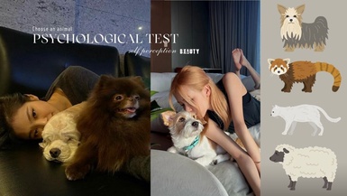 日網超準心理測驗！選三種動物，看出你的「真實性格、他人怎麼看你、對自己的看法」！