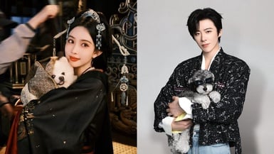 自己賺飼料錢的明星小狗們：孟子義、劉宇寧愛犬超有名，趙露思帶狗推聯名，LV也搶合作