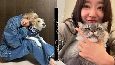 「寵物經濟」比所想更驚人！當毛小孩成為家人，帶動「黃金交叉」與 5000 億美金商機