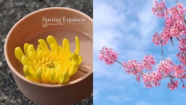 2026春分在3/20!二十四節氣「春分」習俗、禁忌、開運法一次看,穿粉色迎接整年好運!