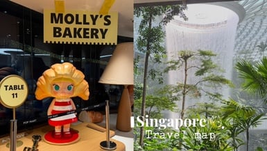 【新加坡最新打卡攻略】美照秘境＋神級美食：樹洞晨曦、POP BAKERY、AI一鍵排行程搞定