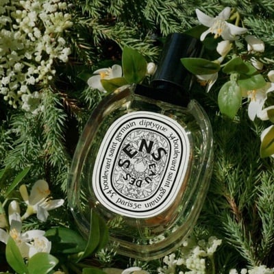 夏天也不暈的木質香水推薦！LE LABO樹果19、Diptyque感官之水是清新耐聞的木質香！