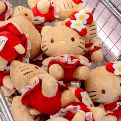 曬黑kitty哪裡買？爆紅原因、最新入手攻略！7-11「曬黑Kitty」夏威夷風可愛登場