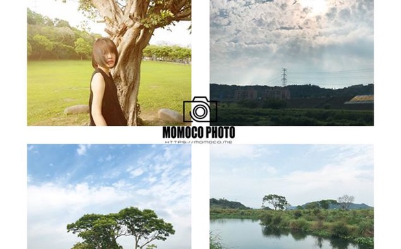｜Momoco專欄｜秘境！適合野餐還能淨化大漢溪污水的大嵙崁人工溼地
