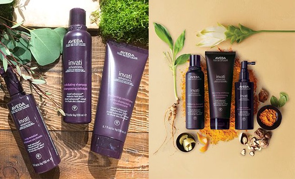 AVEDA全新升級「蘊活菁華系列」！細軟髮救星來了！