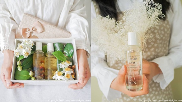 來自濟州島的香味！Innisfree 升級版「居室純粹香頌」，美到把濟州島風景搬回家