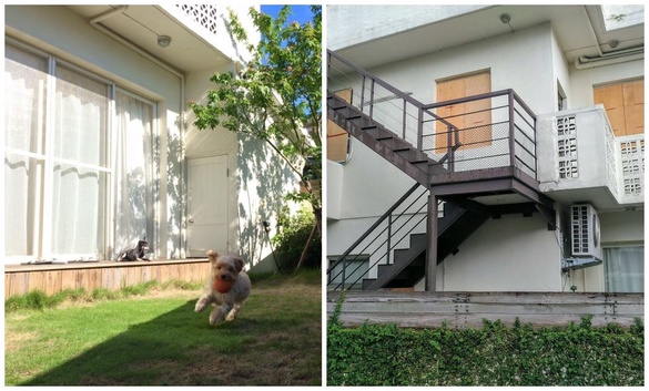 帶著毛小孩去旅行吧！全台寵物住宿推薦