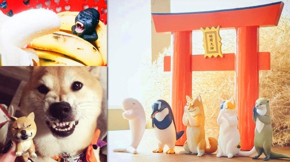 動物系扭蛋出不完！超可愛合掌動物和重出江湖的嘶吼動物好欠買