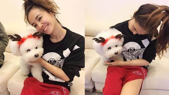 貓狗更容易擄獲明星的愛！？蔡依林護駕愛犬Woohoo撇清狗狗肥胖疑雲！