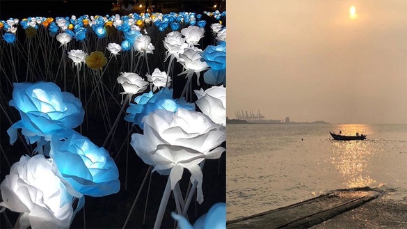 淡水海關碼頭浪漫玫瑰花燈海現身，免費入場，有趣的光影互動也別錯過