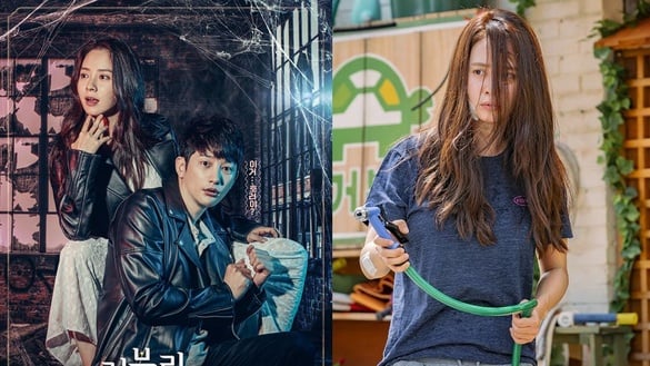 《Lovely Horribly》宋智孝8月韓劇！KBS得獎作品「龐大卡司+劇情介紹」