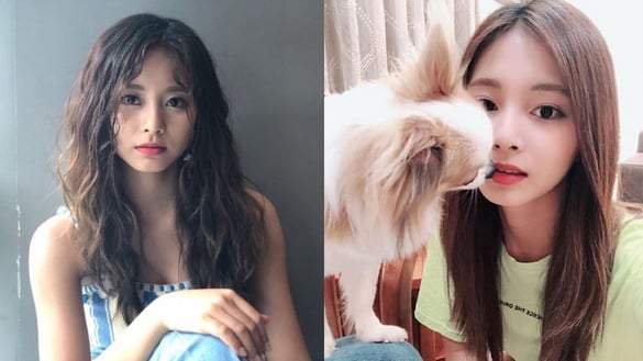 子瑜絕美五官「符合各國審美標準」 舊影片意外在印度掀熱搜潮！