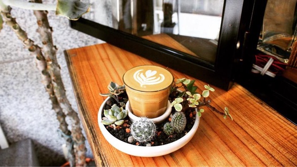 好療癒！多肉植物陪你喝咖啡 森林感咖啡舖《Coffee Sind》手沖咖啡達人專訪