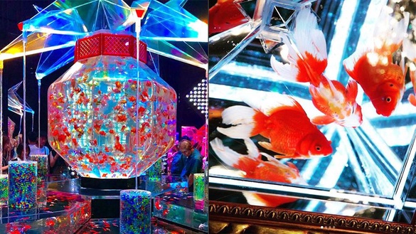 東京絕美「金魚展」 今年夏天最熱門的IG打卡點