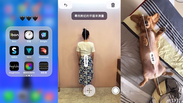IOS12新功能:測距儀、照片分類、siri變聲，烏龍搞笑事件大公開!「單身狗」也被歸類為狗了!