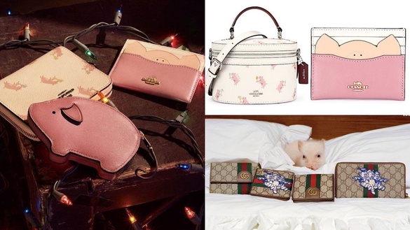2019最萌小豬單品！Gucci、COACH、CHARLES KEITH、Tory Burch、keds豬豬限定必收！
