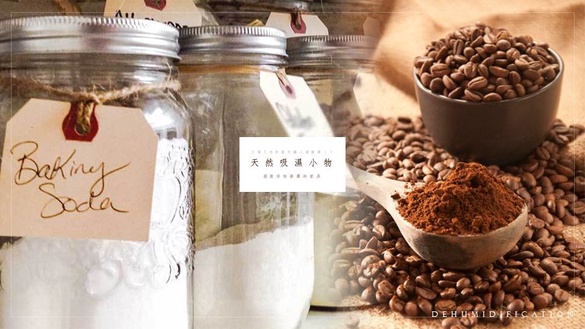 屋內潮濕孳生塵蹣？快擺上這幾個天然吸濕小物，拯救你快發霉的家具！