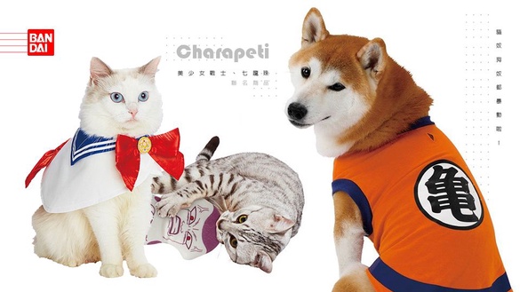 日本全新寵物品牌「Charapeti」，首推美少女戰士、七龍珠聯名商品，貓奴狗奴都暴動啦！