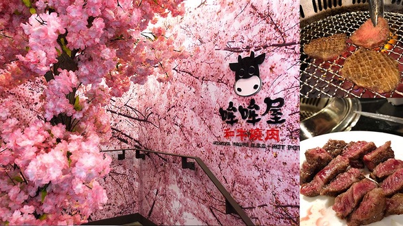 最新網美打卡熱店「哞哞屋和牛燒肉」即日起試營運！豐盛和牛套餐還有超美櫻花林這裡都有~