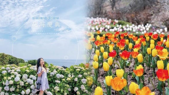 韓國夏季限定「花海慶典」接力降臨，錯過櫻花祭就等這一波！