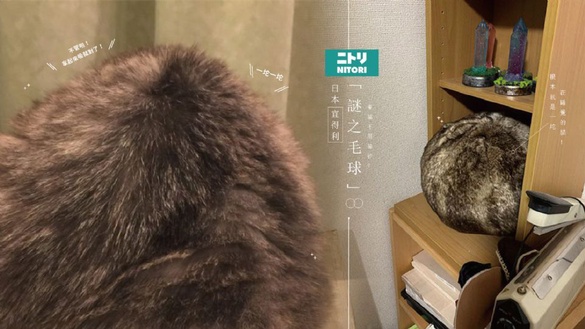 養貓不用鏟貓砂？日本宜得利「謎之毛球」twitter爆紅，根本就是一坨在睡覺的貓！