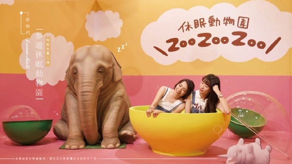夢時代「夢遊休眠動物園」特展免費入場，各種萌翻的熟睡動物，還有五大展區讓你拍到停不下來～