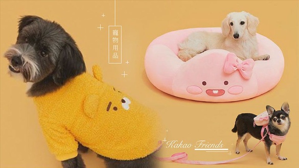 萊恩又出招！Kakao Friends推出寵物用品，衣服、睡墊通通都是萊恩，家中有毛小孩的萊恩教徒必收！