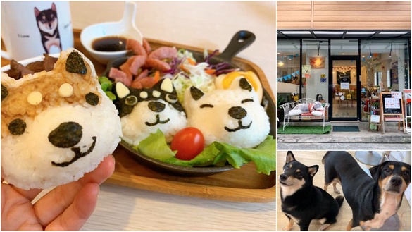 台中超可愛寵物友善餐廳「Two Puppies」推薦，必點柴犬造型飯糰「柴糰定食」好吃又好拍！