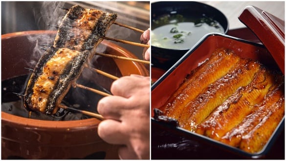 台中必吃餐廳+1，「無敵一家 鰻や」推頂級鰻魚料理，開幕送鰻魚可樂還有鰻魚飯買一送一！