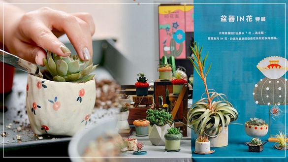有肉 Succulent &amp; Gift「有肉 IN 花」！台北超美的仙人掌打卡牆，喜歡多肉植物的一定要來有肉打卡～