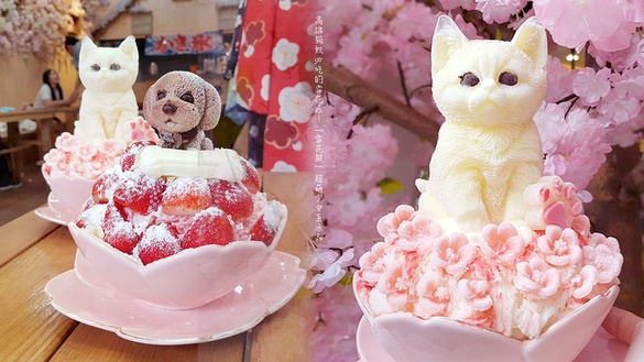 貓奴必吃的雪花冰！高雄「雪花殿」超萌的少女系冰品，上面竟然還有白色貓咪＆貴冰狗