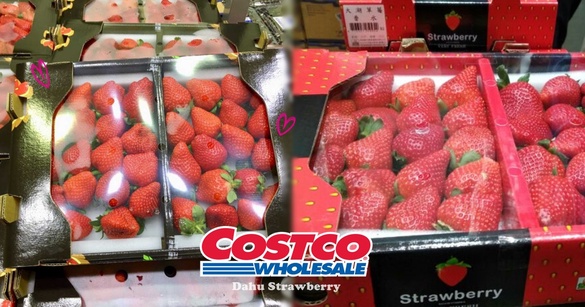 草莓控快衝！COSTCO「大湖草莓」強勢回歸，滿滿超大顆草莓就在好市多！