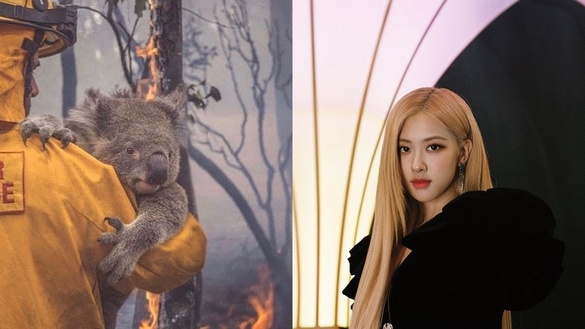 澳洲大火5韓星發聲！孔曉振&amp;鄭麗媛關心，BLACKPINK ROSÉ：「我心碎了，請救救我家鄉」