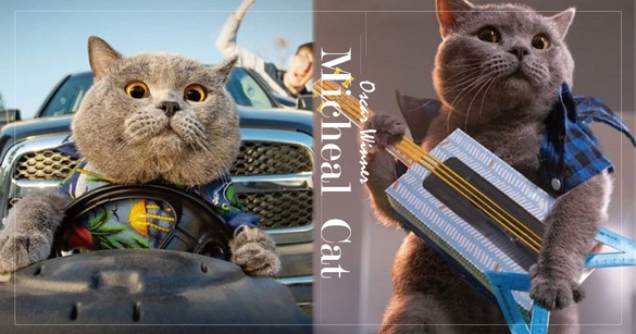 貓界奧斯卡得主就是牠！超可愛網紅貓Micheal，靠神演技替主人收入百萬！