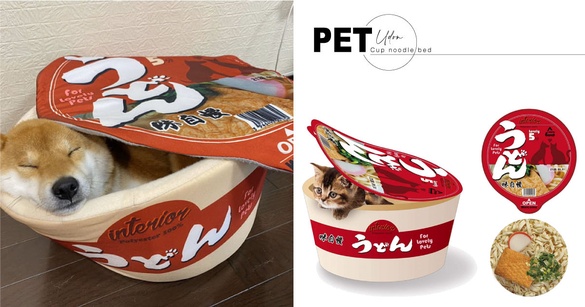 在烏龍麵裡發現狗狗？毛小孩躺進「寵物杯麵床」，既療癒又萌翻天！