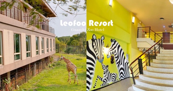 全台唯一「動物園飯店」！六福莊推出住宿優惠，房間內看長頸鹿，最低每人不到千元！