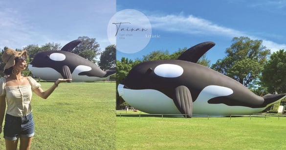 超大鯨魚登陸台南！世界最大鯨魚裝置藝術「虎鯨Orca」7/15期間限定療癒亮相