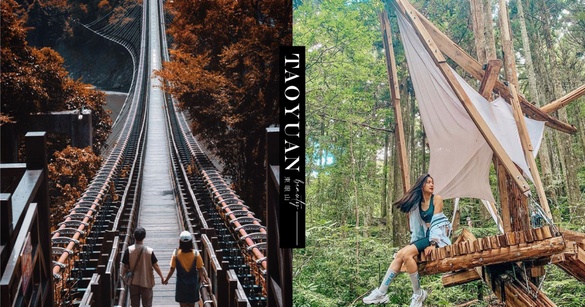 台灣好行「東眼山線」開通！桃園復興6大景點一路暢玩，再享國家森林遊樂區免費入園