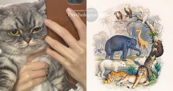 超準個性心理測驗！直覺選一動物，測別人眼中的你＆內外在真實性格
