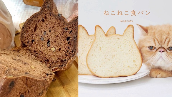 只賣7天！超人氣「貓咪吐司」、「貓掌瑪德蓮」這裡快閃開賣，加碼推日本同步流行雜貨