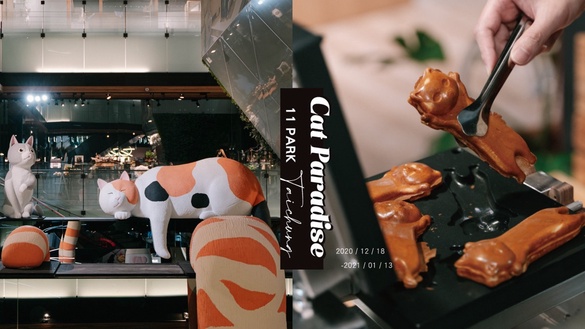 台中人專屬的貓咪樂園！巨大化貓咪＆粉嫩肉球，連續5週讓貓奴拍個過癮