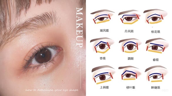 快速判斷眼型！6步驟準確分析你的眼型，畫眼妝再也不怕出錯