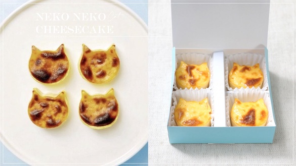 全家開賣「NEKO NEKO CHEESECAKE貓貓起司蛋糕」！折耳貓、波斯貓都萌，還送貓貓保冷袋