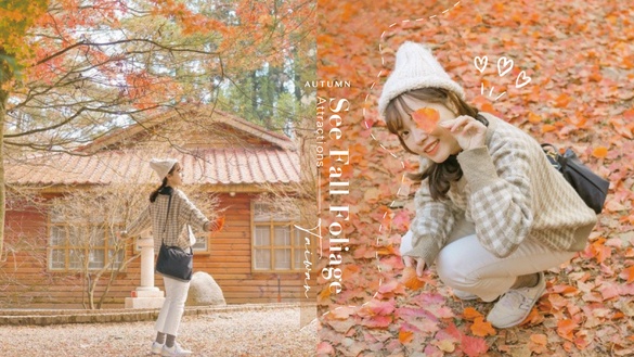 全台人氣「賞楓景點」推薦！秋季限定紅葉仙境，浪漫追楓不用飛出國