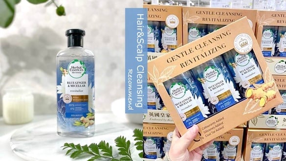 不等代購，好市多直接進貨！英國NO.1天然洗髮精「藍薑洗髮露」黑五獨賣快閃，只有7天